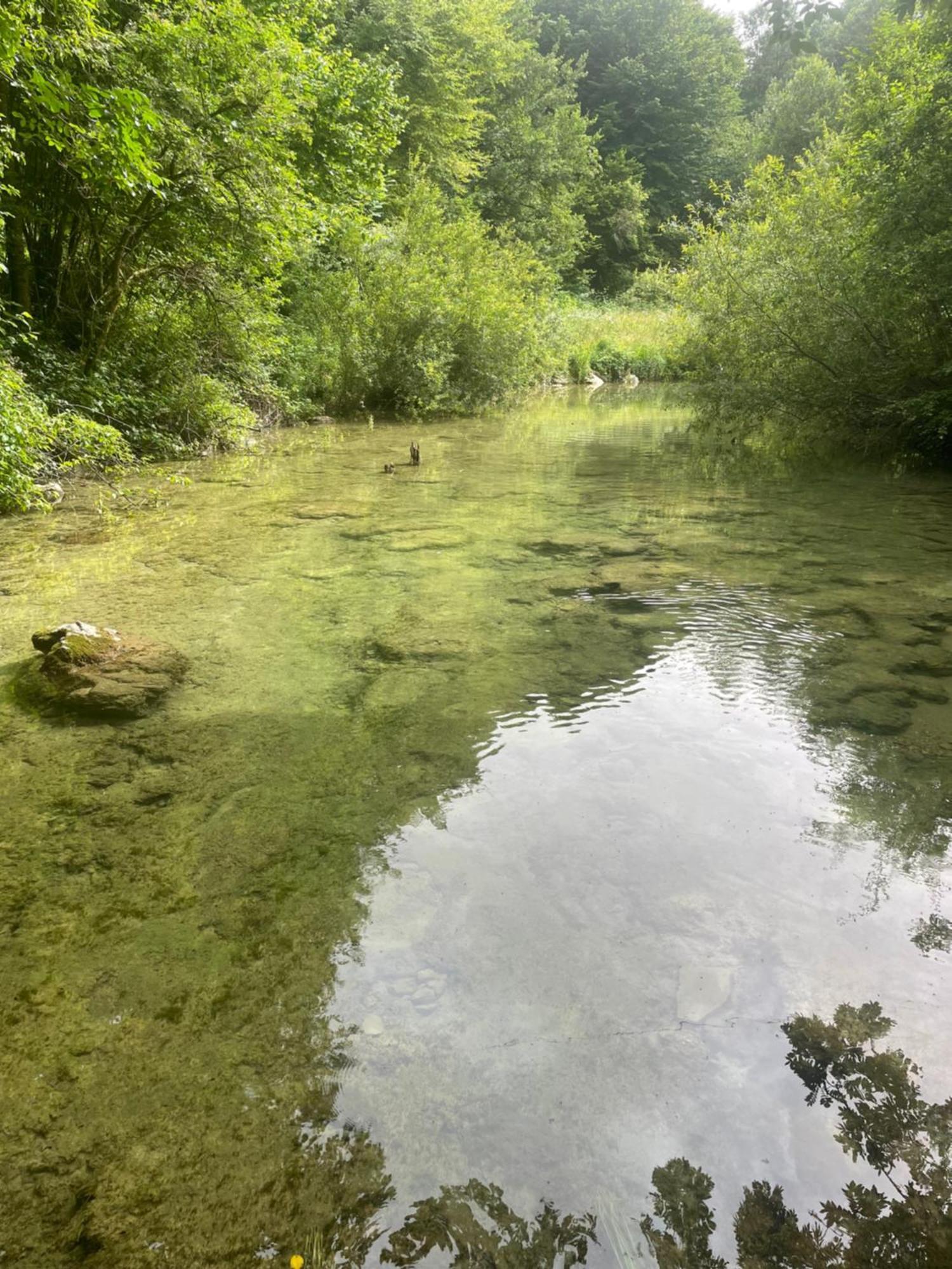 Villa Ruscello Grabovac  Eksteriør bilde